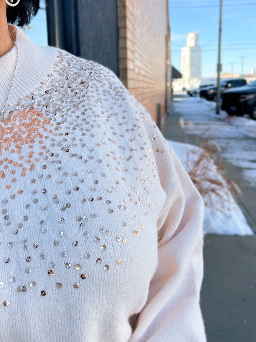 Blush Sweater With Sequins